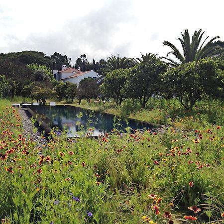 Quinta Do Miguel Villa อัลเดยา ดู แมโก ภายนอก รูปภาพ