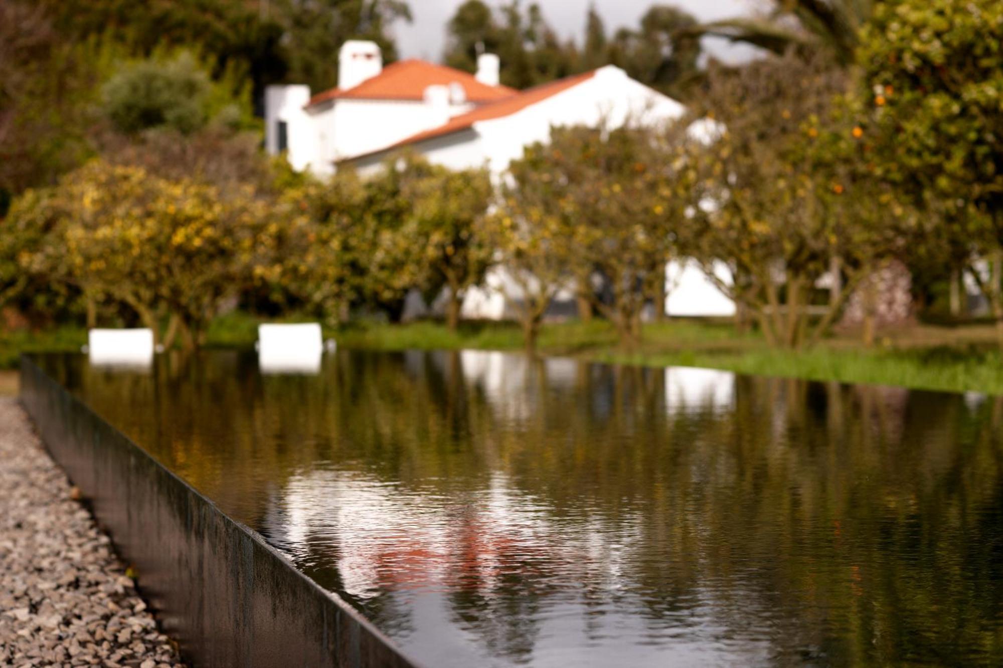 Quinta Do Miguel Villa อัลเดยา ดู แมโก ภายนอก รูปภาพ