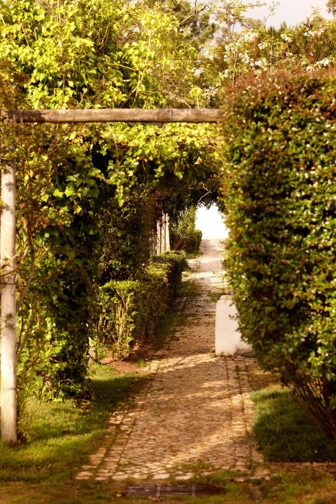 Quinta Do Miguel Villa อัลเดยา ดู แมโก ภายนอก รูปภาพ