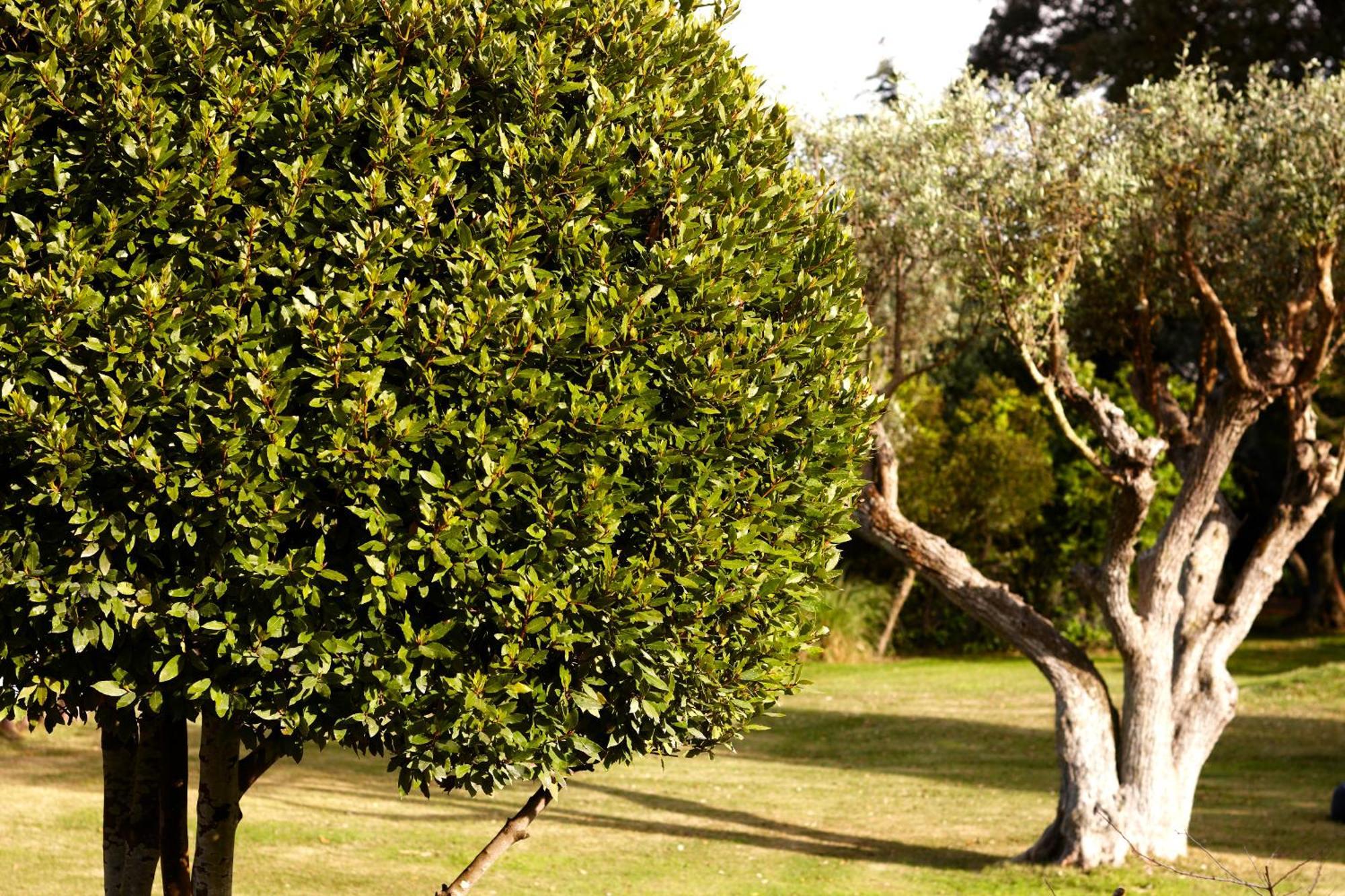 Quinta Do Miguel Villa อัลเดยา ดู แมโก ภายนอก รูปภาพ