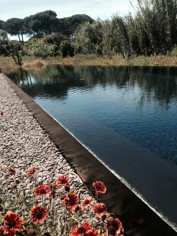 Quinta Do Miguel Villa อัลเดยา ดู แมโก ภายนอก รูปภาพ