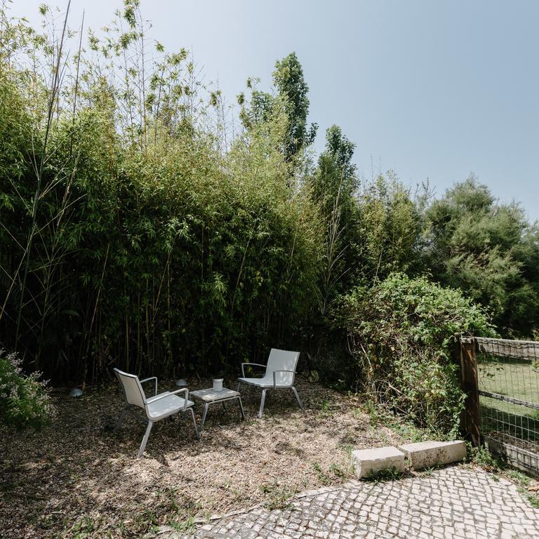 Quinta Do Miguel Villa อัลเดยา ดู แมโก ภายนอก รูปภาพ